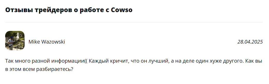 Cowso отзывы