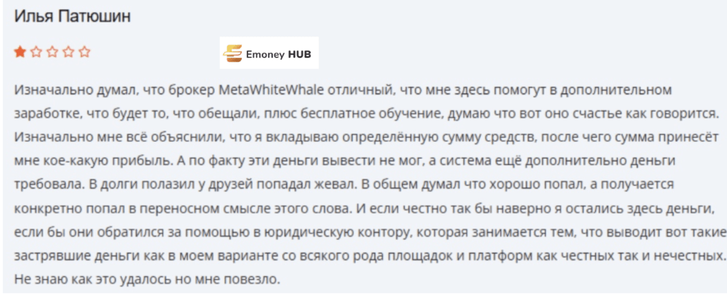 metawhitewhale.com отзывы