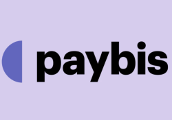 Изображение - Paybis