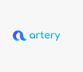 Artery Network