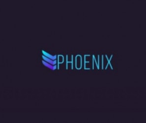 Phoenix Invest club